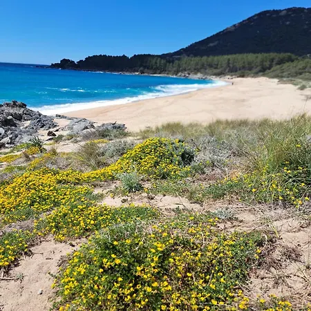 Les Balcons Du Valinco - Stella Di Mare * Olmeto (Corsica)